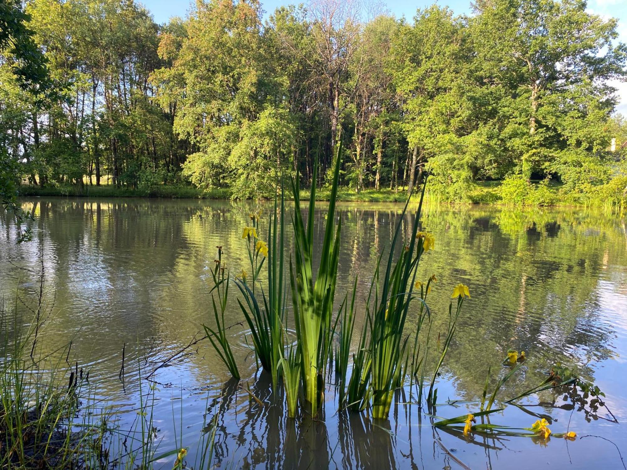 Domaine De Lithos Bed & Breakfast Fossemagne Екстериор снимка